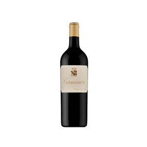 San Leonardo Carmenere 2020 Vino Rosso Trentino Vigneti delle Dolomiti IGT 12% - Foto 1 di 1