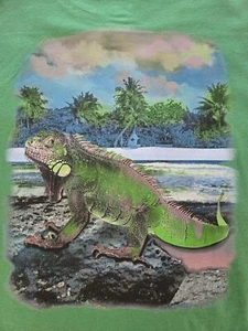 “Where Iguana Chill” Pun Graphic Tee – Funny Tropical Caribbean Shirt - XL14-16 - Picture 1 of 6