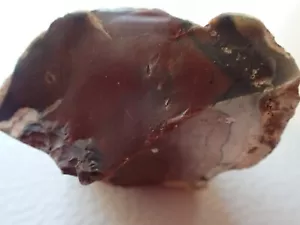 Esemplare di legno pietrificato Tennessee! Chert rosso e nero!!! - Foto 1 di 13