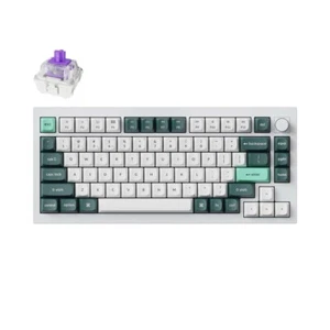 Keychron Q1 HE QMK Bezprzewodowa klawiatura Gateron Double-Rail Magnetic Nebula Switch - Zdjęcie 1 z 10