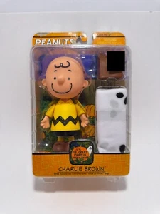 Charlie Brown Halloween Great Pumpkin Peanuts Costume Bag of Rocks Memory Lane - Picture 1 of 11