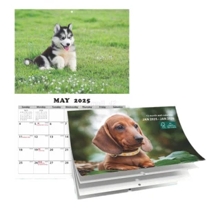 2025 Calendar Cute Dogs Wall Monthly Planner Family Home Organiser 12 Month SALE - Picture 1 of 8