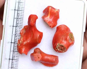 Untreated Natural Italian Red Coral 30.60 Ct Certified Quality Rough Gemstone - Picture 1 of 3