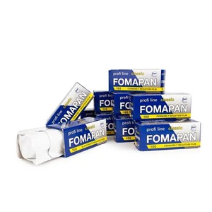 10x Fomapan 100 Classic 120 Rollfilm s/w b/w Schwarzweissfilm Mittelformat - Picture 1 of 1