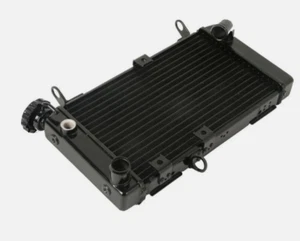 Motorcycle Radiator Engine Motor New Grille Fits For Suzuki SV-650 1999-2002 - Picture 1 of 5