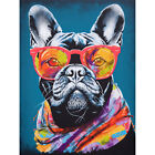 English Bulldog with Neon Bandana and Sunglasses Canvas Poster Print Picture Art