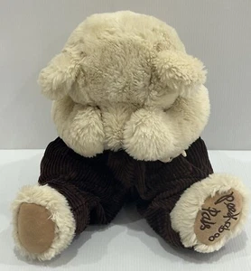 "PEEK A BOO PALS"  PLUSH BEANIE BEAR TOY IN BROWN OVERALLS - CUTE Magnetic VGC - Bild 1 von 8