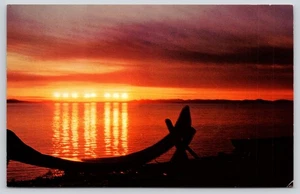 Kotzebue Barrow Alaska Midnight Sun Chrome Postcard by Frank Whaley - Picture 1 of 2