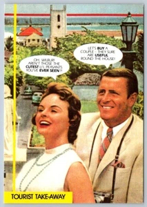 Tourist Take-Away, Comic, Satire, 1988 Chick Pix Postcard #R188, NOS - Picture 1 of 2