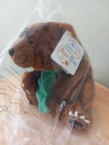 We’re Going On A Bear Hunt Soft Toy Plush 8” Aurora New In Bag - Picture 1 of 7