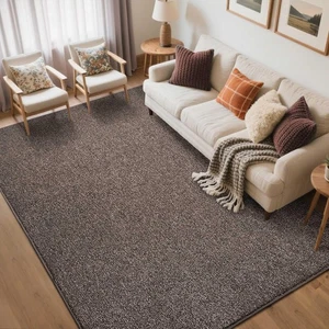 FinRèc 5x7 Washable Area Rugs for Bedroom Living Room, Low Pile Thin Rug Sol... - Picture 1 of 8