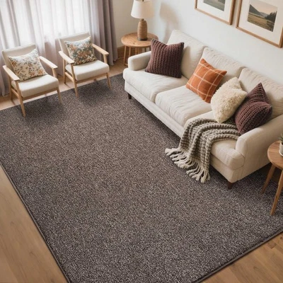 FinRèc 5x7 Washable Area Rugs for Bedroom Living Room, Low Pile Thin Rug Sol... - Image 1 of 4