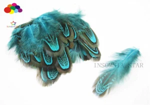 pretty Premium 100pcs 5-10cm/2-4in Lake Blue Pheasant Beautiful Feather cp119 - Picture 1 of 4