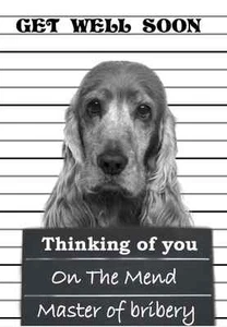 Cocker spaniel get well soon PIDCO2 A5 Personalised Greeting Card dog design - Picture 1 of 1