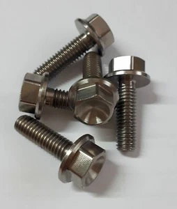 5 x Titan Schrauben / Titanium screws Grade 5 DIN 6921, M6 x 16* - Bild 1 von 1