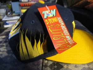 NWT 90's Dead Stock MICHIGAN WOLVERINES Gillslits Snapback Hat Top Of World OSFA - Photo 1 sur 5