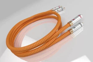 Ricable Dedalus Signal RCA - Zdjęcie 1 z 1