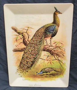 Pottery Barn Melamine 16" X 12" Peacocks In Nature Serving Platter Decor Tray - Picture 1 of 12