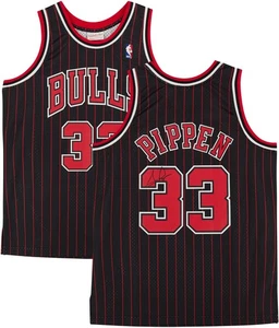 Scottie Pippen Bulls Signed Mitchell & Ness 1995-1996 Pinstripe Swingman Jersey - Picture 1 of 5