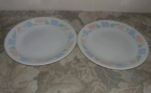 Corelle Friendship 6 piatti 3/4" / set di 2 - Foto 1 di 2