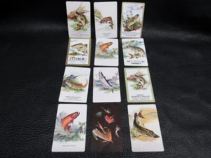 Lot 12 Fishing Swap Cards - Picture 1 of 3