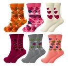 Combed Cotton Crew Socks for Women Colorful 6 Pairs Size 9-11 (shoe 5-10) New