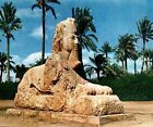 Postkarte Ägypten Gizeh Die Sphinx von Sakkara