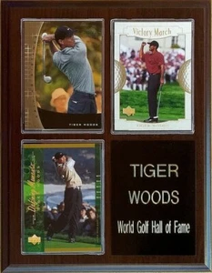 Tiger Woods PGA 3-Card 7x9 Plaque - Picture 1 of 1