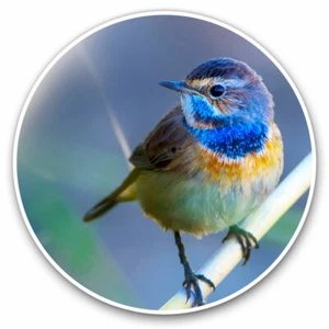 2 x Stickers Vinyle 30 cm - Coloré Petit Oiseau Jardin Cool Cadeau #24523 - Photo 1/9