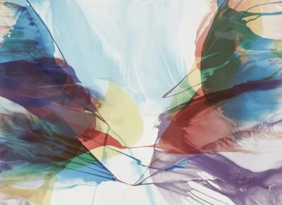 Papel de archivo "Light Graphic" firmado a mano Paul Jenkins "Sanctuary Light Light Light Light" Foto 1 de 2