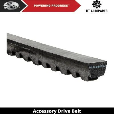 Accesorio para Mercedes-Benz 300SD 1978-1981 ventilador de correa de transmisión y puertas del alternador Foto 1 de 4