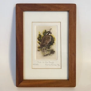 Tianey Tiemec Miniature Framed Art Print "One in the Bush" 35/250 Signed 1992 - Picture 1 of 8