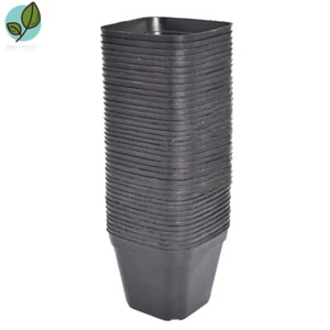 100 Pack 4" Square Durable Lightweight Flower Pot Plastic Nursery Plant Pots - Picture 1 of 6