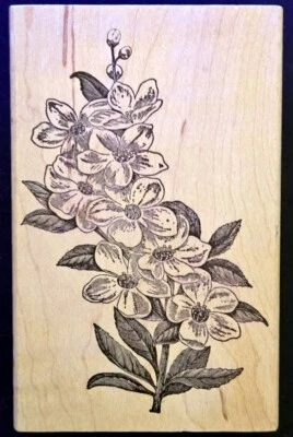 Sello de goma magenta flores de rama de flores de madera de perro Foto 1 de 2