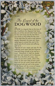 Postal de lino floral de La leyenda del Dogwood - Imagen 1 de 2