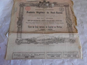 Vintage share certificate action Rubber Produits vegetaux Haut Kassai congo 1898 - Picture 1 of 7