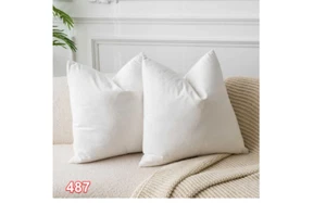 JUSPURBET Decorative Velvet Throw Pillows Covers for Couch Bed Pack of 2 26x26 - Picture 1 of 4