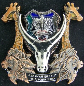 Marine Corps Security Guard Detachment MSG Juba South Sudan Challenge Coin - Picture 1 of 2