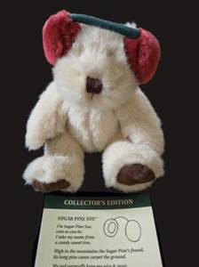 Vintage Mervyn's Redwood Bear Buddies 2000 "Sugar Pine Sue" plush Teddy Bear NIB - Picture 1 of 7