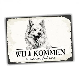 Hundeschild Willkommen Zuhause Islandhund Spitz No.2 Dog Schild Spruch Türschild - Bild 1 von 5