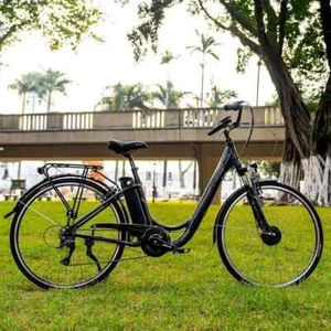 250W E-Bike Elektrofahrrad Fahrrad PROTOUR City Bike 28 Zoll Damen/Herren 25km/h - Bild 1 von 24