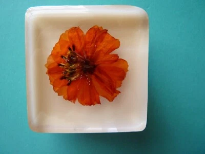 Flower Blossom Rubber Stamp Acrylic Mount w/Real Flower Within - Image 1 of 3