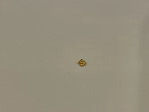 Australian Natural Gold Nugget 0.171g - Picture 1 of 1