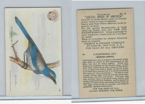 J7, Church & Dwight, Useful Birds America 3rd Ser., 1922, #19 California Jay - Bild 1 von 1