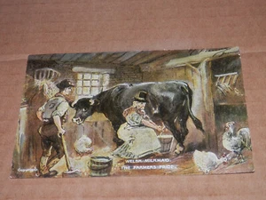 LECHERA GALESA - EL ORGULLO DE LOS GRANJEROS - POSTAL HUMORÍSTICA USADA DE 1909 - A Dumbauld - Imagen 1 de 2