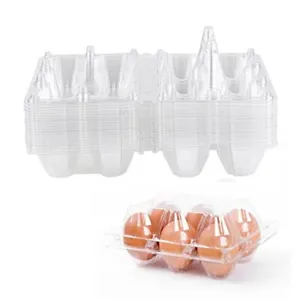 Hold 12 Eggs Securely 48 Pack Egg Cartons Clear Plastic Bulk Empty Chicken Egg - Picture 1 of 7