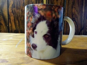 Taza de café vintage Border Collie para perro diseño Barbara Augello, origen perro 1994 - Imagen 1 de 4