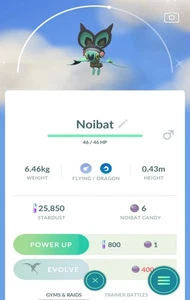 Shiny Noibat wearing a headband -P T C- Read Description - Picture 1 of 1