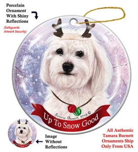 Up to Snow Good Ornament - White Havanese - Picture 1 of 1