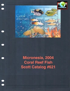 1/3 off $6.75 Scott Value - 2004 MICRONESIA Fish s/s Coral Reefs MNH NH UMM - Picture 1 of 4
